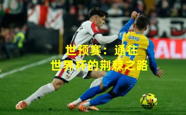  世预赛：通往世界杯的荆棘之路