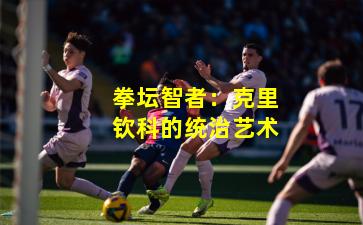 拳坛智者：克里钦科的统治艺术