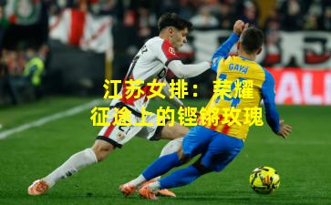 江苏女排：荣耀征途上的铿锵玫瑰