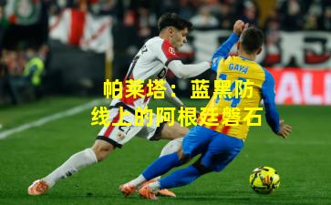帕莱塔：蓝黑防线上的阿根廷磐石